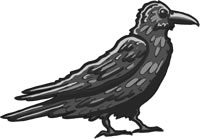 Raven: A bird wiser than some wizards